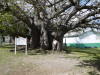 Pictures from Barbados
