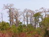 Fotos aus Sao Tome