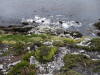 Fotos von den Falkland Islands