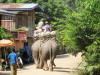 Fotos aus Laos